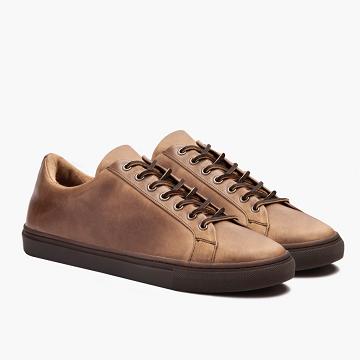 Tenis Thursday Boots Premier Low Tops Cuero Hombre Marrom | MX225CTV