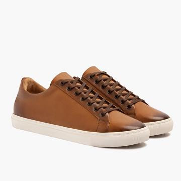 Tenis Thursday Boots Premier Low Tops Cuero Rugged & Resilient Hombre Dorados | MX227ZUT